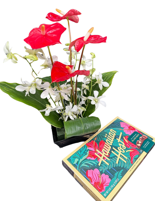 Gift Set (Includes Shipping)