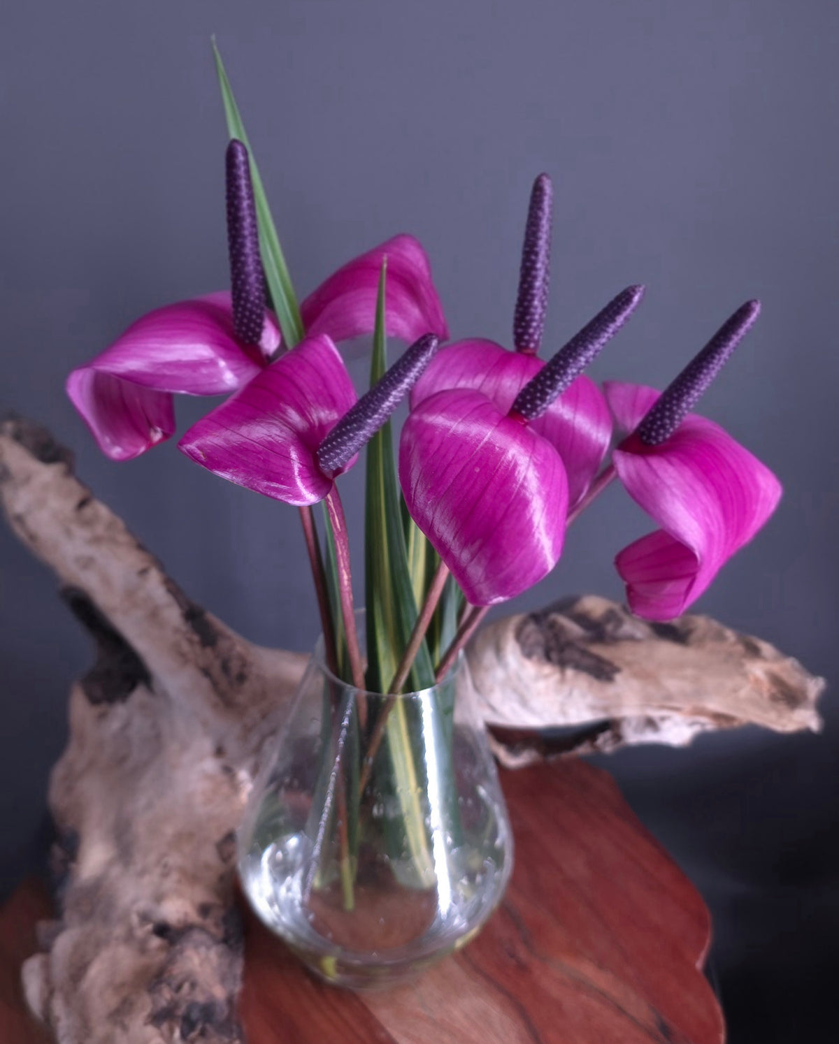 Promo Purple Tulip Bouquet