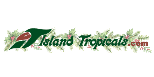Island Tropicals