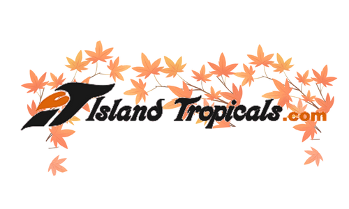 Island Tropicals