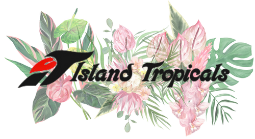 Island Tropicals - Florist in Keaau